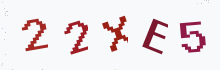 Captcha image - type the characters you see