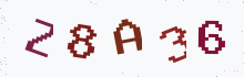 Captcha image - type the characters you see