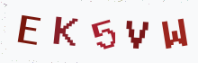 Captcha image - type the characters you see