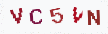 Captcha image - type the characters you see