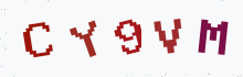 Captcha image - type the characters you see