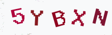 Captcha image - type the characters you see