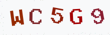 Captcha image - type the characters you see