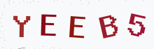Captcha image - type the characters you see