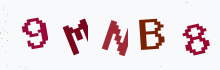 Captcha image - type the characters you see