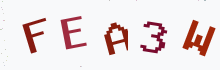 Captcha image - type the characters you see