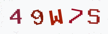 Captcha image - type the characters you see