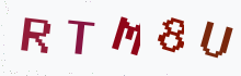 Captcha image - type the characters you see