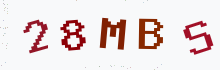 Captcha image - type the characters you see