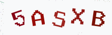 Captcha image - type the characters you see