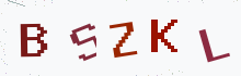 Captcha image - type the characters you see