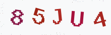 Captcha image - type the characters you see