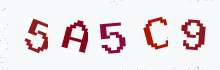 Captcha image - type the characters you see
